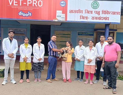 विश्व रेबीज दिवस पर पालतू जानवरों को टीका लगवाने की अपील