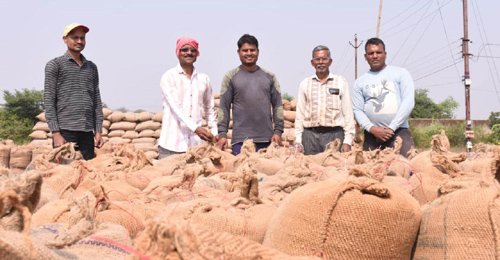 जिले में धान खरीदी का काम जोरों पर, किसानों में खुशी