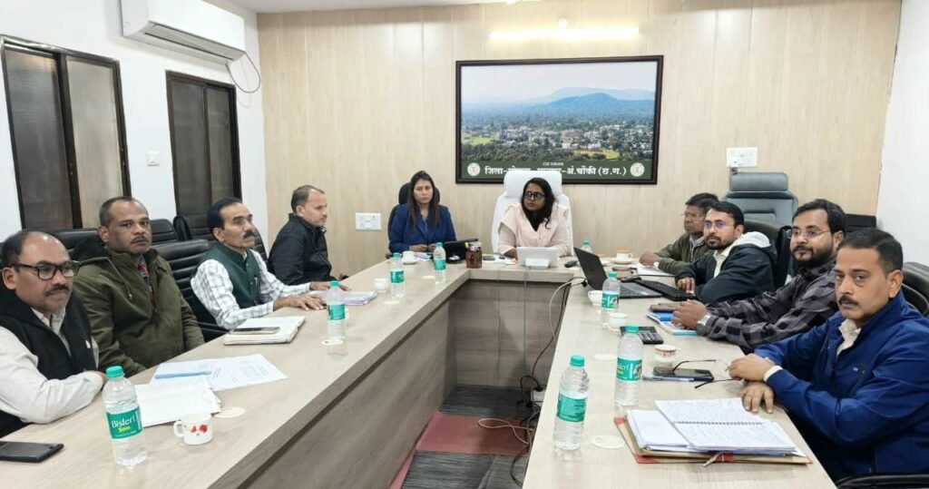 शत-प्रतिशत एएनसी पंजीयन और हाई रिस्क गर्भवती महिलाओं पर विशेष ध्यान दें : तुलिका प्रजापति