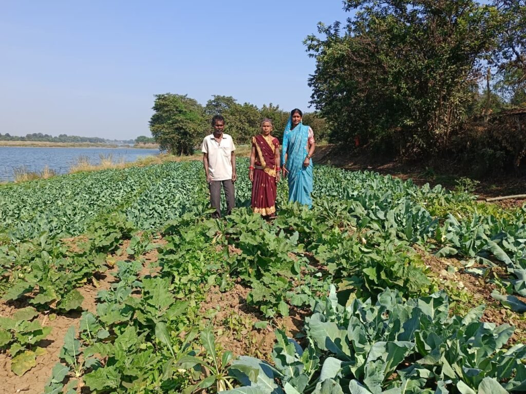 राजनांदगांव में जैविक खेती की ओर बढ़ रहा किसानों का रुझान, प्राकृतिक खेती से मिल रहा फायदा