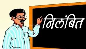कलेक्टर ने लापरवाही बरतने पर राजस्व निरीक्षक को किया निलंबित
